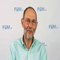 Norbert Perrimon