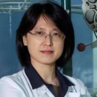 Meizhou-jou X. Chen