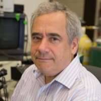 David Mendelowitz