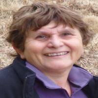 Ann Goldman