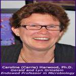 Caroline Harwood
