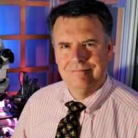 Michael J. Friedlander