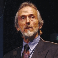 Michael N. Brant-zawadzki