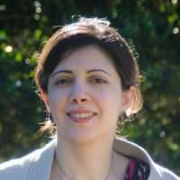 Parisa Rashidi