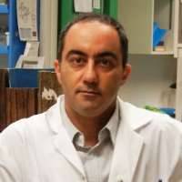 Abdi Ghaffari