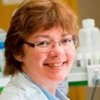 Eileen A. Mclaughlin