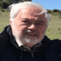 Felix Bermejo-pareja