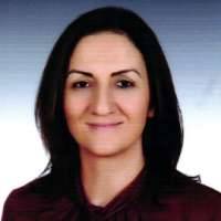Nilgun Demirci