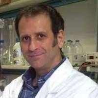 Michele Rubini