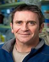 Michael Foley