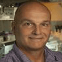 William J. Pavan
