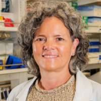 Bettina Mittendorfer