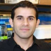 Hadi Khalil