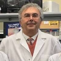 Marco Antonio Cassatella