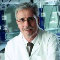 Yves Pommier